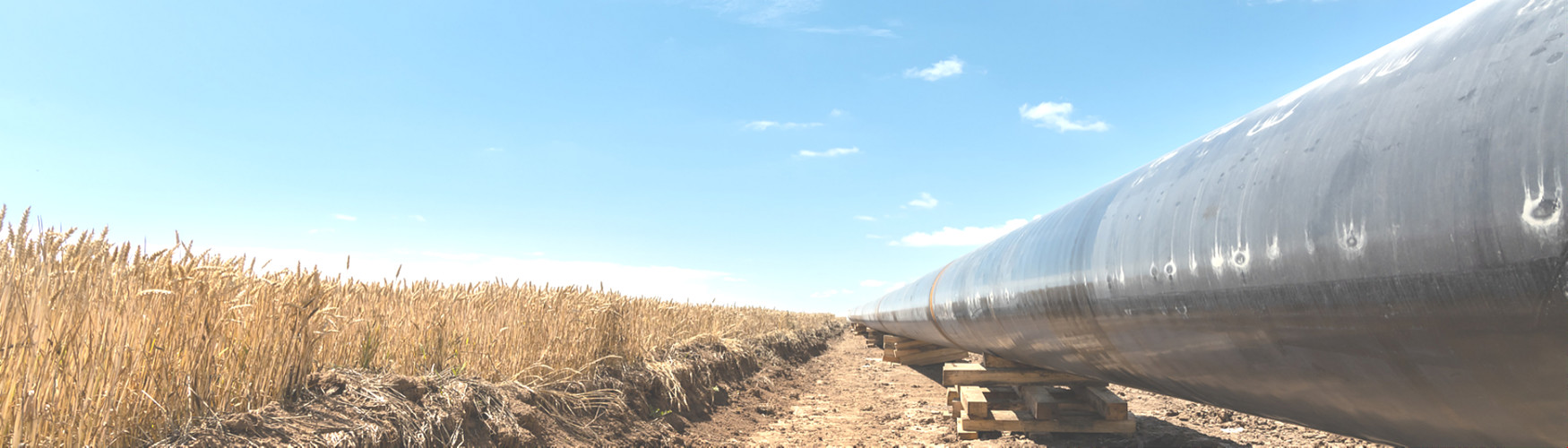 calidad Banda adhesiva de petróleo fábrica